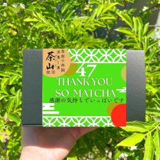 画像1: Thank you so matcha(ケーク茶山) (1)